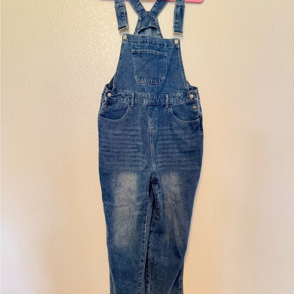 Source Unknown Blue Women Jeans Overalls - Picture 1 of 3